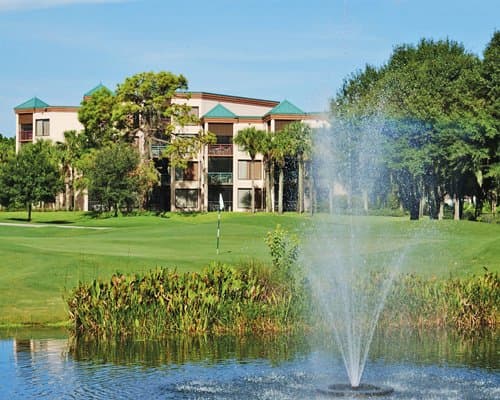Royal Palms – photo 8