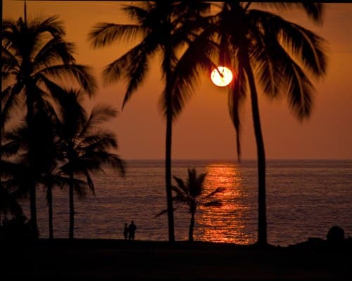 The Kona Coast Resort – photo 26