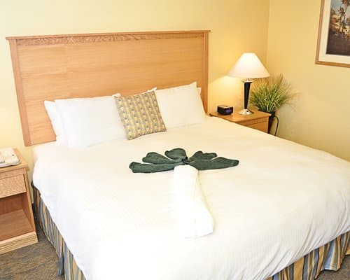 Atrium Resort – photo 10