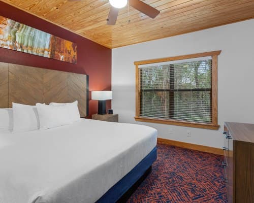 WorldMark New Braunfels – photo 28