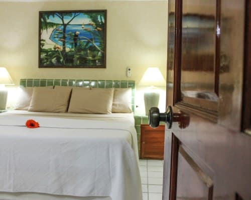Coral Ixtapa – photo 12