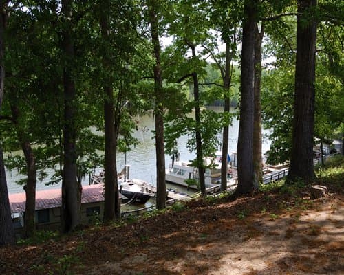 Lake Marion Resort and Marina – photo 5