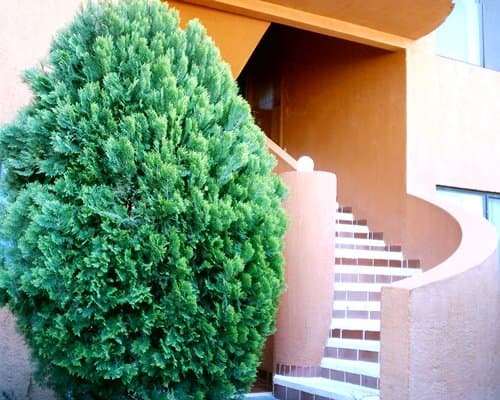 La Rinconada Santa Fe Morelos – photo 9