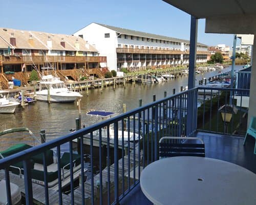 Marlin Cove II-Blue Marlin – photo 10