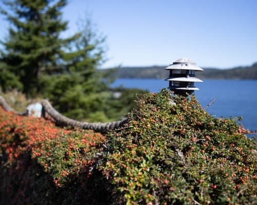 WorldMark Discovery Bay - 5 Nights – photo 4