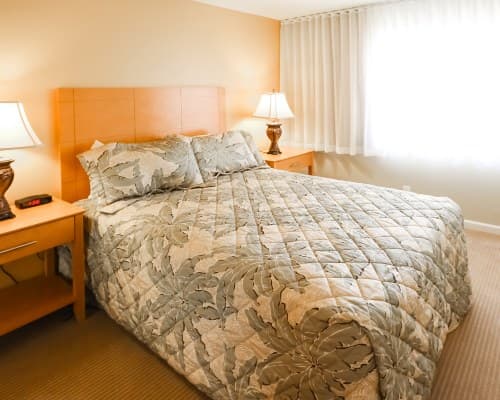 Desert Vacation Villas - 2 Nights – photo 8
