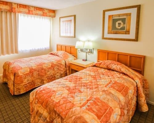 Desert Vacation Villas - 2 Nights – photo 22