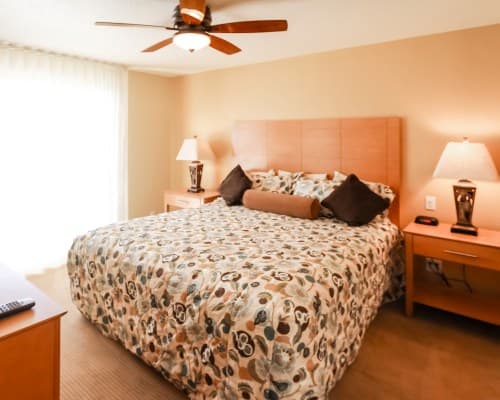 Desert Vacation Villas - 2 Nights – photo 23