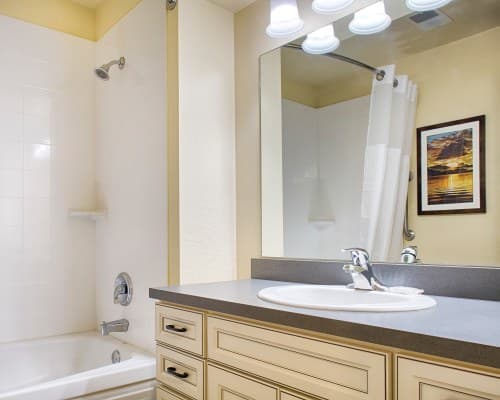 WorldMark Branson – photo 19