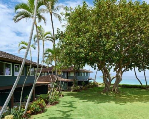 Royal Lahaina Resort and Bungalows - 5 Nights – photo 7